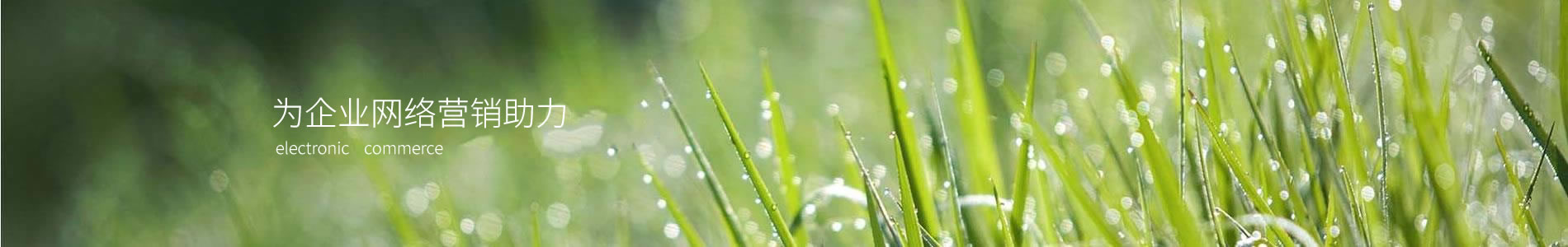 ԡƼ޹˾